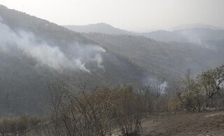 وقوع ۱۶ فقره حریق سال جاری در جنگل های غرب مازندران