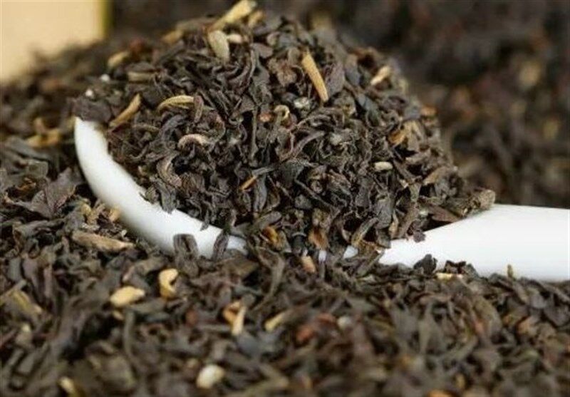  خصوصی‌سازی صنعت چای به قیمت نابودی ۱۸۷ کارخانه / خرید تضمینی پس از "مرگ چای"