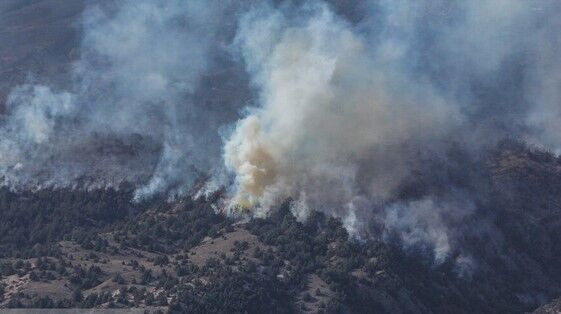 آتش‌سوزی جنگل‌های کردکوی عمدی بود
