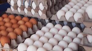 ادامه چالش قیمت تخم‌مرغ/قیمت مصوب، ۶ هزار تومان کمتر از قیمت تمام شده