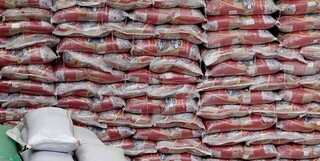 بلاتکلیفی ۱۵ هزار تن برنج در گمرک/ وزارتخانه‌های مسئول تصمیم نمی‌گیرند