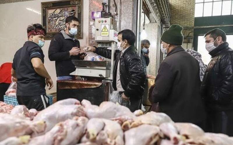 گرانی مجدد مرغ و زمزمه‌های افزایش قیمت مصوب
