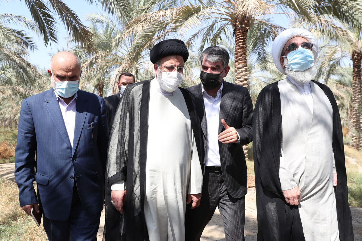 تصمیم‌های سفر رئیس جمهوری نوید عزم جدی دولت برای نجات خرمای بوشهر
