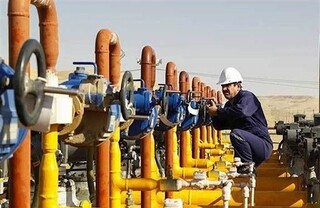 عمده گاز توزیع شده در بوشهر به کجا می‌رود؟