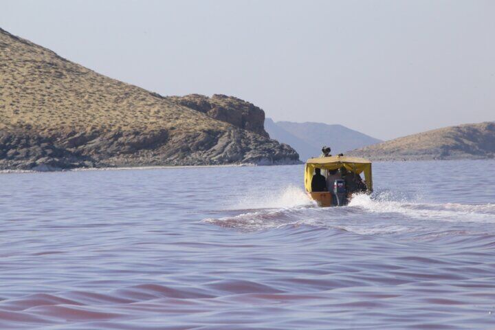حصار امن حیات وحش جزایر دریاچه ارومیه می‌شکند؟