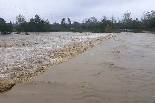 بارش باران در مناطق مختلف ایلام/رودخانه فصلی دشت عباس طغیان کرد