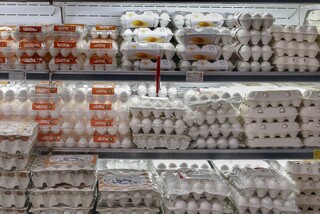 واردات، قیمت تخم‌مرغ را کاهش داد
