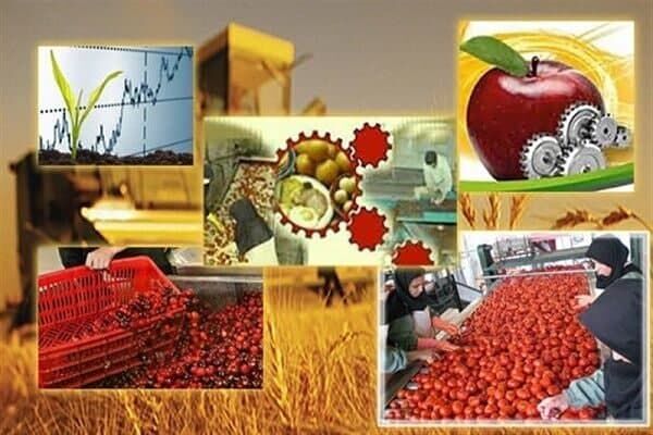 نمایشگاه دائمی عرضه محصولات کشاورزی در مشهد راه اندازی شد