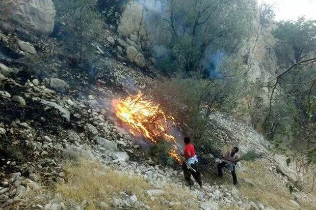 یک فروند بالگرد برای اطفای حریق جنگل در مازندران تامین شده است