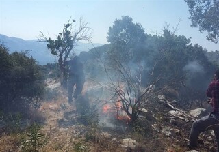 آتش‌ بار دیگر به جان جنگل‌های استان گلستان افتاد/ تلاش‌ها برای اطفای حریق ادامه دارد
