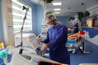 رییس بیمارستان فوق تخصصی شریعتی مشهد