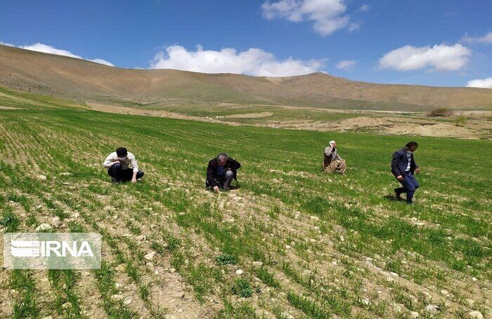 وزیر جهاد کشاورزی: تسهیلات کشاورزان جنوب کرمان استمهال می شود