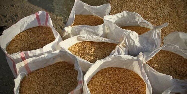  کاهش قیمت جهانی گندم ، روغن و خوراک دام‌ 
