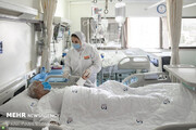 شناسایی ۴۶۵۸ بیمار جدید کرونایی/ ۲۰ نفر فوت شدند