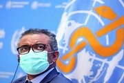 تمجید سازمان جهانی بهداشت از ایران به دلیل مهار مالاریا