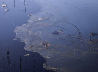 آلودگی نفتی در تالاب خورخوران خمیر و خسارت ۱۷۰ میلیاردریالی