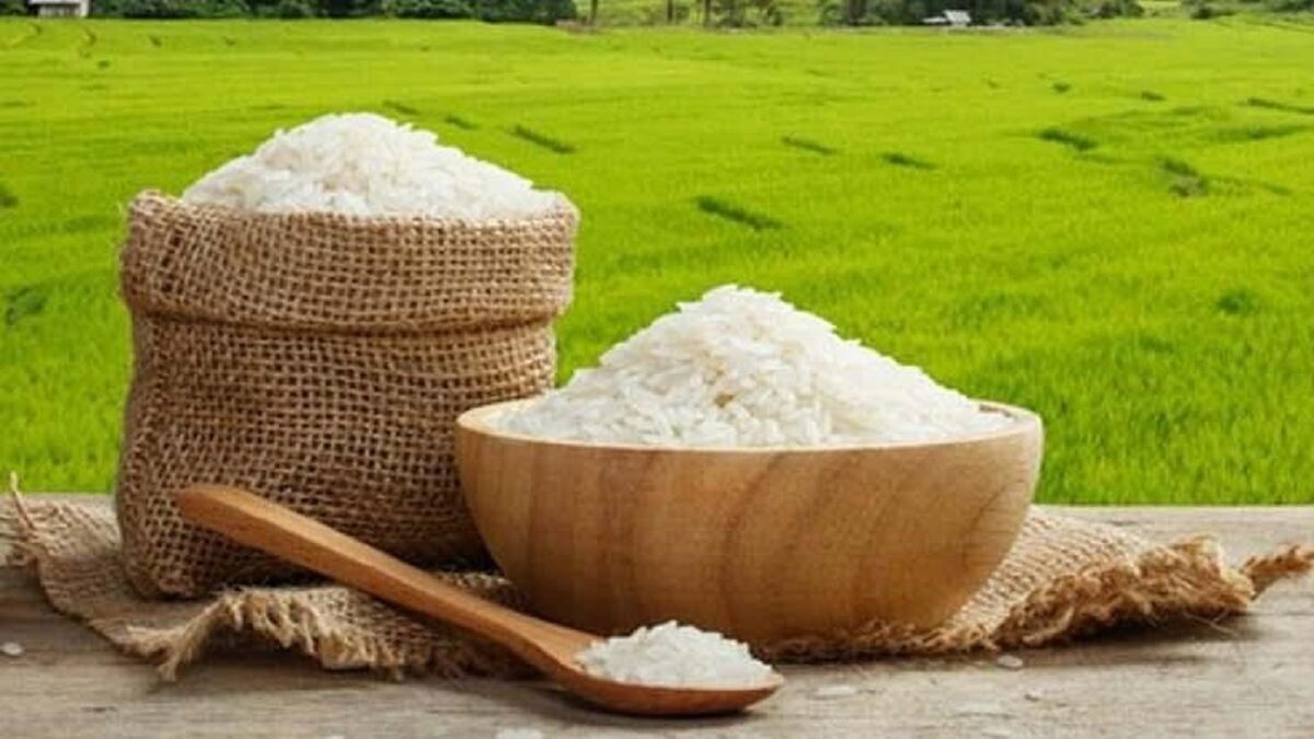 معمای ارزانی برنج صادراتی نسبت به بازار داخلی! 