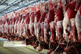 عرضه انواع گوشت قرمز با قیمت مناسب در روزهای پایانی سال