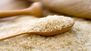 کشت برنج، سال آینده قراردادی می‌شود/ پتانسیل کشت قراردادی ۱۰ میلیون تن سبزی و صیفی وجود دارد