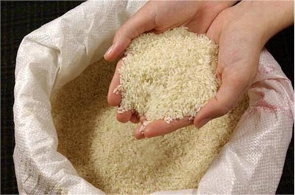 آغاز عرضه هوشمند برنج ایرانی در سامانه بازرگام در خراسان رضوی
