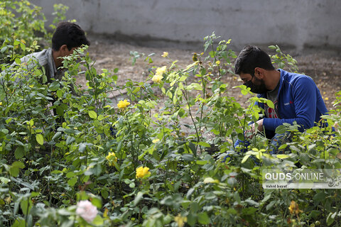 مراسم افتتاح مجتمع نمایشگاهی تحقیقاتی گل و گیاه رضوی در مشهد