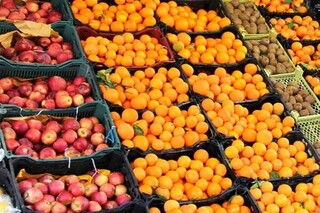 ۱۲۵۰۰ تن میوه‌های تنظیم بازاری روی دست دولت ماند!