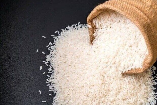 واردات ۱.۳ میلیارد دلاری برنج پرحاشیه
