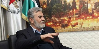 ایران تنها حامی واقعی مقاومت فلسطین است 