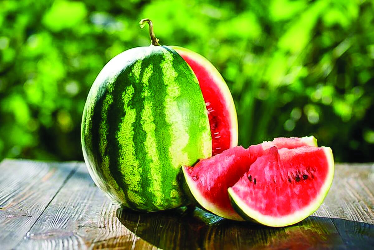 صادرات مجانی آب در پوشش هندوانه به شیخ‌نشین‌ها!