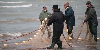 پایان فصل صید ماهیان استخوانی در دریای خزر / خبر خوش برای صیادان در راه است