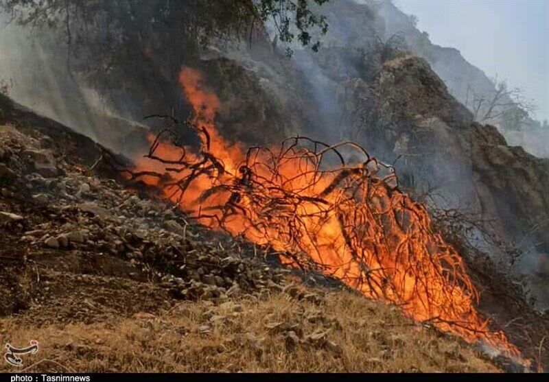  آتش دوباره به جان بلوط‌های استان کهگیلویه و بویراحمد می‌افتد