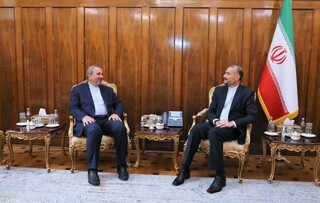 دیدار سفیر جدید ایران در عراق با امیرعبداللهیان