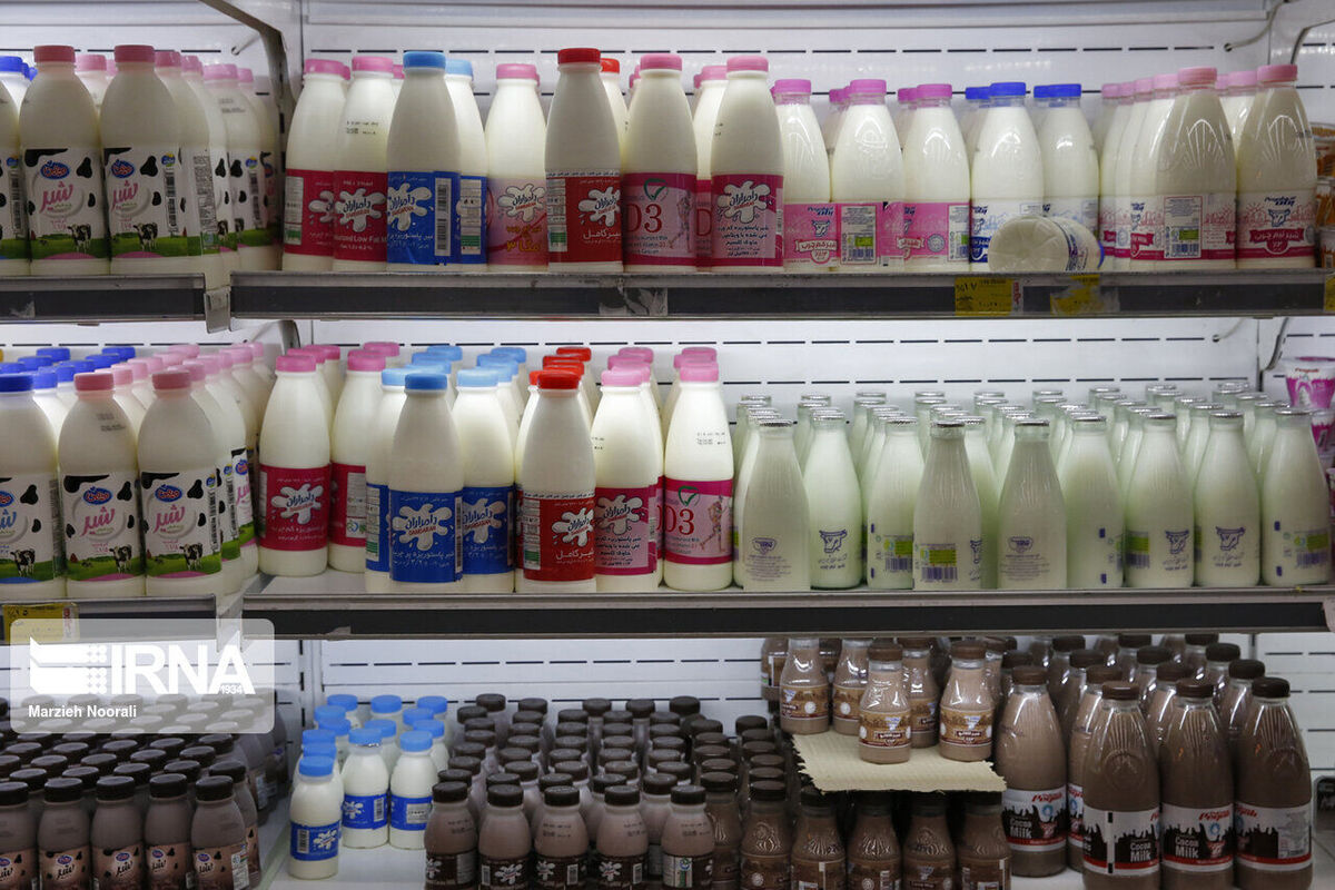هیچ کمبودی در تولید شیر خام نداریم/ روند افزایشی تولید در کنار صادرات
