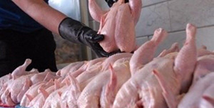 قیمت مرغ در خرده‌فروشی‌ها هم ۴ هزارتومان کاهش یافت