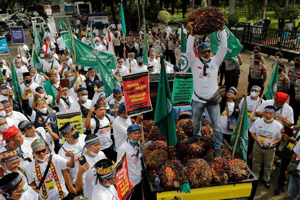 تجمع کشاورزان اندونزیایی در اعتراض به ممنوعیت صادرات روغن پالم 