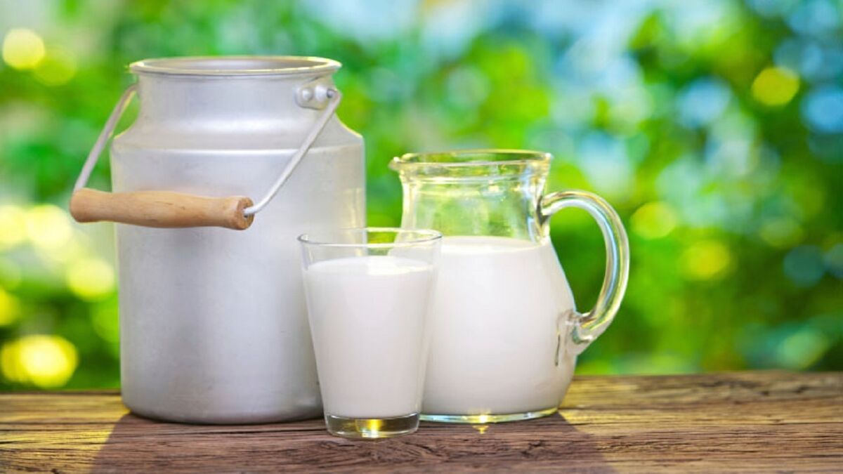 قیمت شیر ‌در آمریکای لاتین سر به فلک کشید