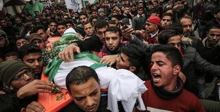 نماینده فلسطین در شورای امنیت: فقط به خاطر هویت‌مان کشته می‌شویم