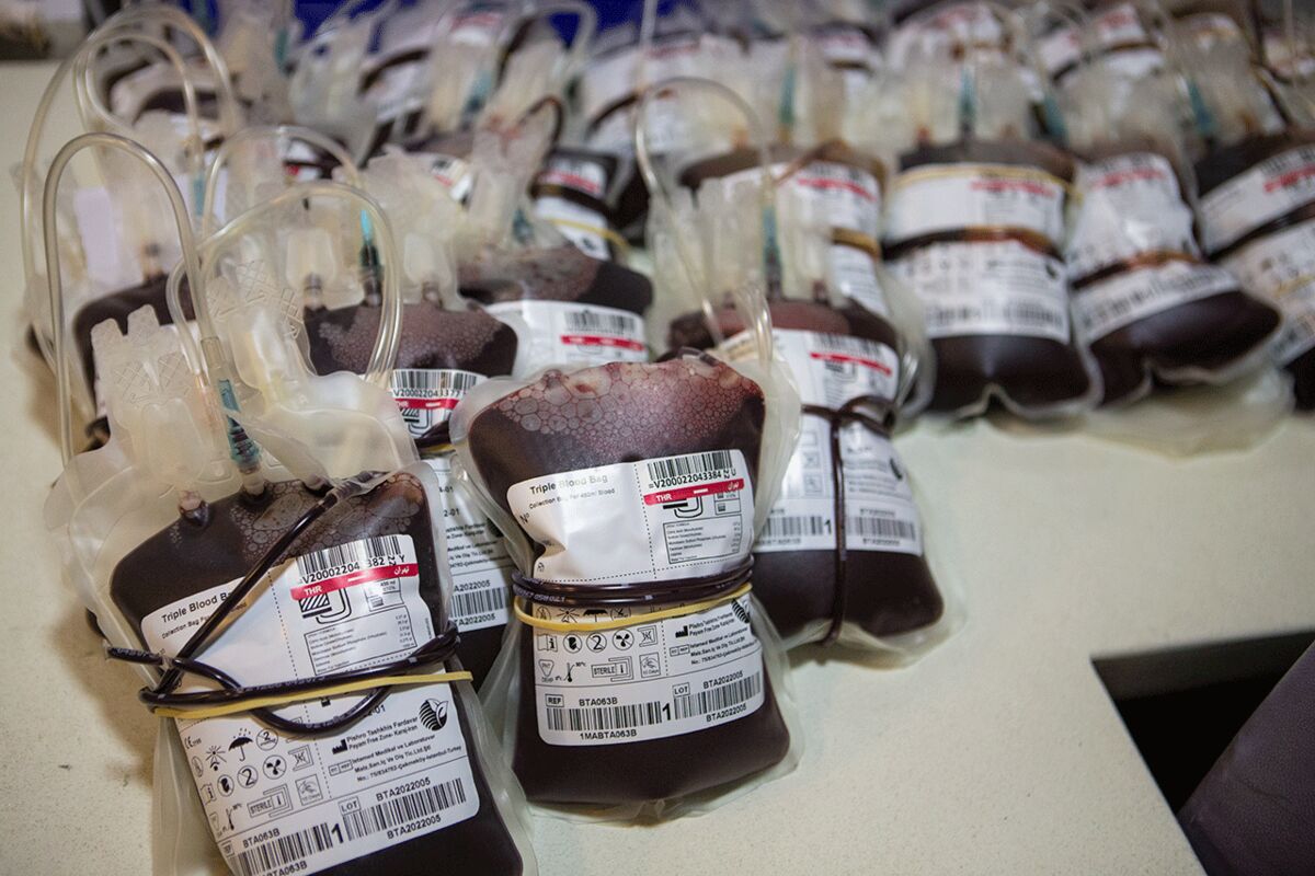مصرف خون ۳۰ درصد افزایش یافته است/ اهدای خون در تابستان را فراموش نکنید