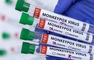 انتقال ویروس آبله میمونی بسیار کندتر از سایر ویروس‌هاست