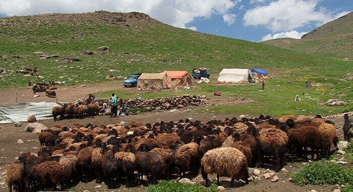 کوچ عشایر به مراتع سهند در آذربایجان شرقی آغاز شد