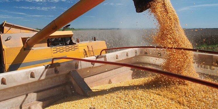  صرفه‌جویی ۶۰ هزار تُنی در مصرف ماهانه گندم صنعت 