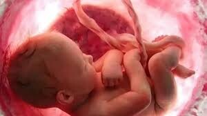 حمایت‌های مرکز نفس موجب جلوگیری از سقط ۷۲۷ جنین سالم شد