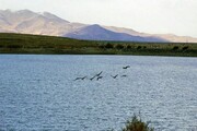 شرایط نامناسب تالاب‌های همدان