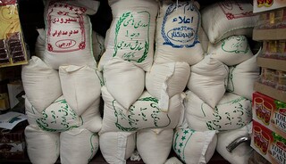 نرخ برنج ایرانی به هیچ عنوان منطقی نیست
