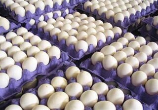 توزیع روزانه ۲ هزار و ۹۰۰ تن تخم مرغ در کشور