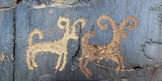 کشف سنگ نگاره‌های باستانی در ارتفاعات جنوب شهر مشهد