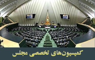 حضور ۹ وزیر در مجلس/مخبر درباره تشکیل وزارت بازرگانی توضیح می‌دهد