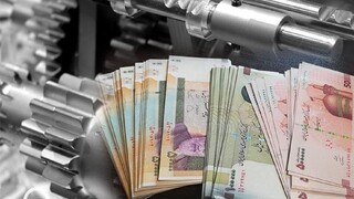 دریافت تسهیلات بدون داشتن مهارت، باعث ایجاد بیکار بدهکار میشود