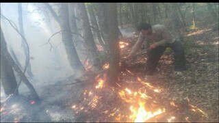 آتش سوزی جنگل کجور نوشهر مهار شد/ ۲ هکتار از اراضی جنگلی و کشاورزی در آتش سوخت