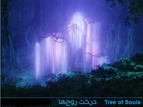 ردپای درخت روح‌ها در "آواتار"